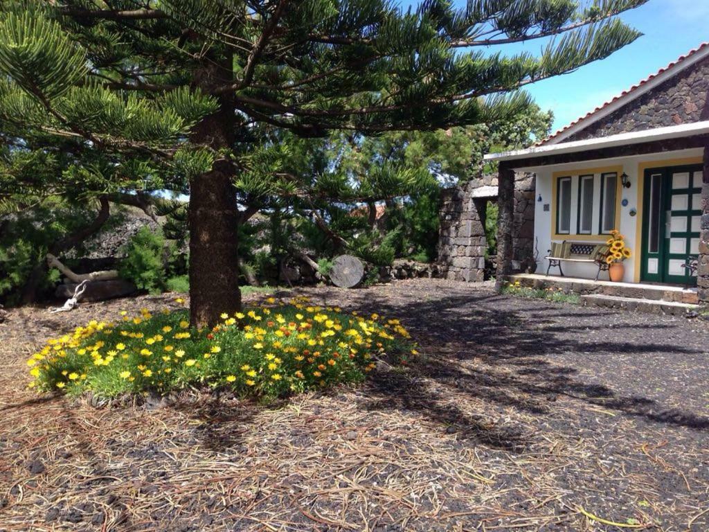 Casa Da Costa Villa Madalena  Bagian luar foto